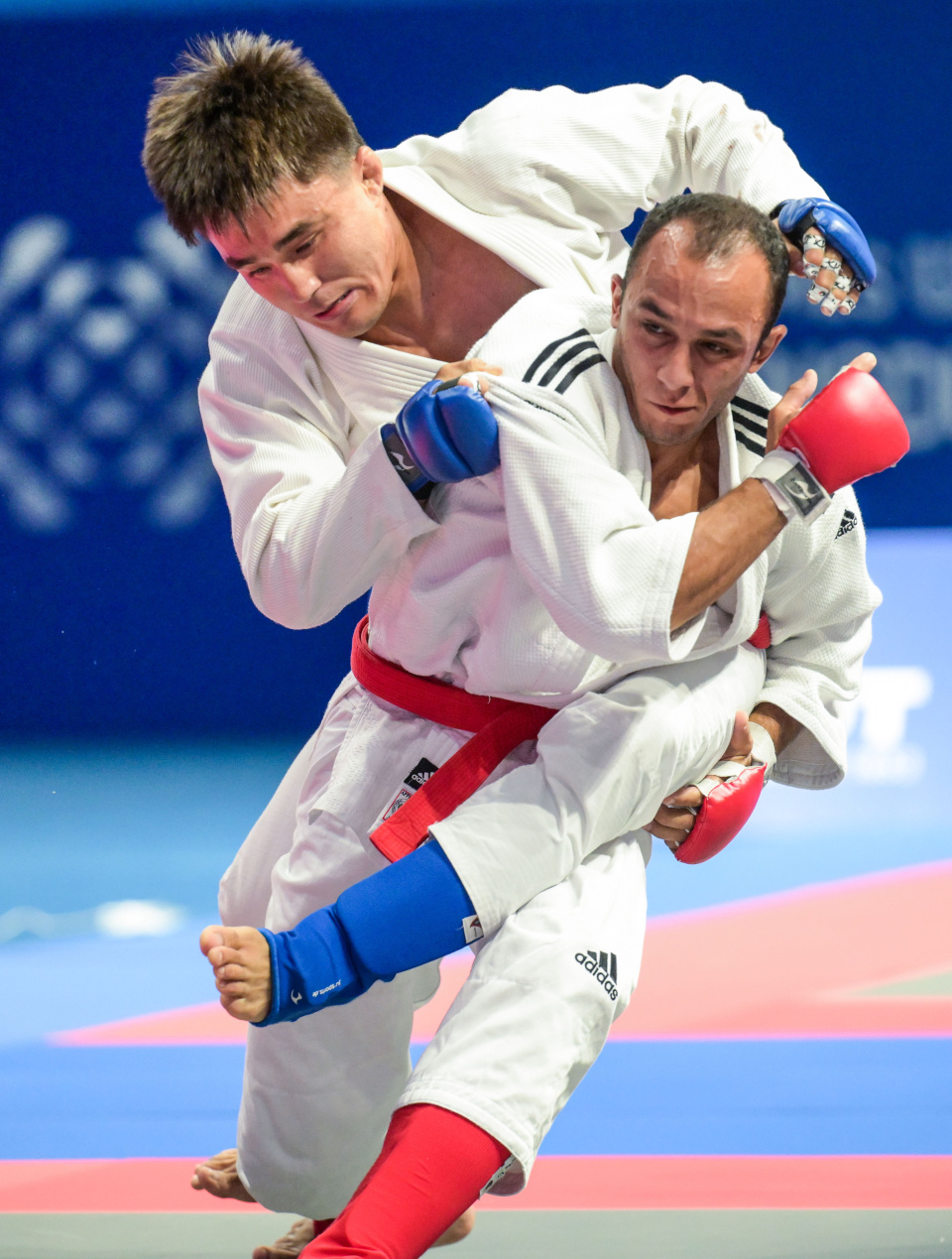 手本, om 手本, om