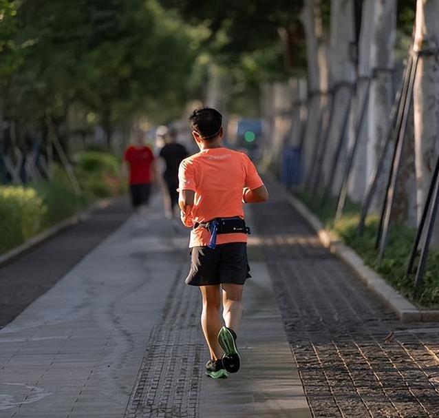 免疫力也能 免疫力也能