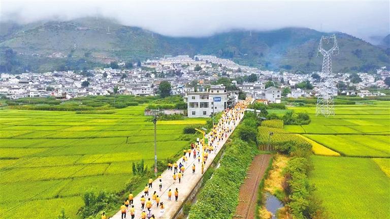 娜姑镇丰收 娜姑镇丰收